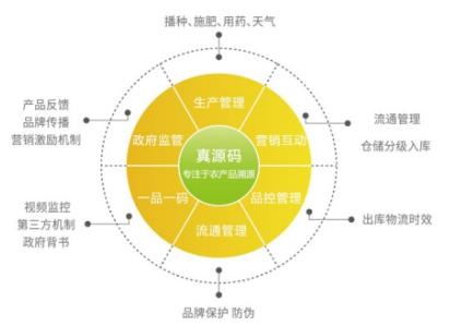 给大家介绍一下社会信用体系建设